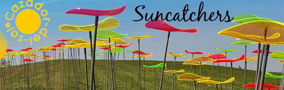 Flower Delivery to Oklahoma City by Trochta's